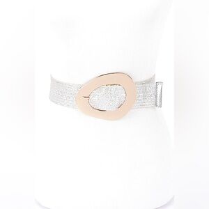 Plus Size Silver & Gold Oval Buckle Statement Belt